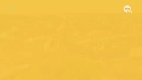 "Kuchenne rewolucje" Sezon 25