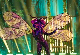 "Mask Singer". Kto kryje się pod kostiumem Koguta, Ważki i Czarownicy?