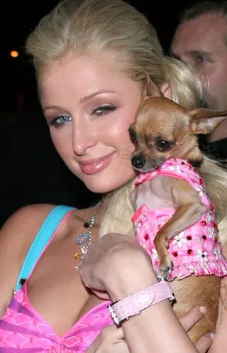 Paris Hilton