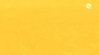 "Kuchenne rewolucje" | Sezon 26 | Odcinek 5 |"Witnica"