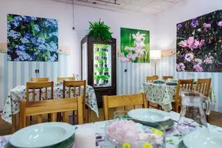 Magda Gessler robiła kuchenną rewolucję w "Bistro pod przykrywką" 