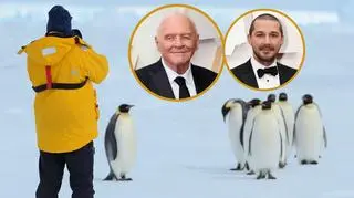 Powstaje pierwsza hollywoodzka produkcja kręcona na Antarktydzie. W obsadzie Anthony Hopkins i Shia Labeouf 