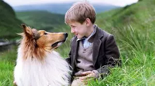 "Lassie" – obejrzysz w Dzień Dziecka w Playerze