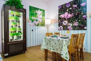 Magda Gessler robiła kuchenną rewolucję w "Bistro pod przykrywką" 