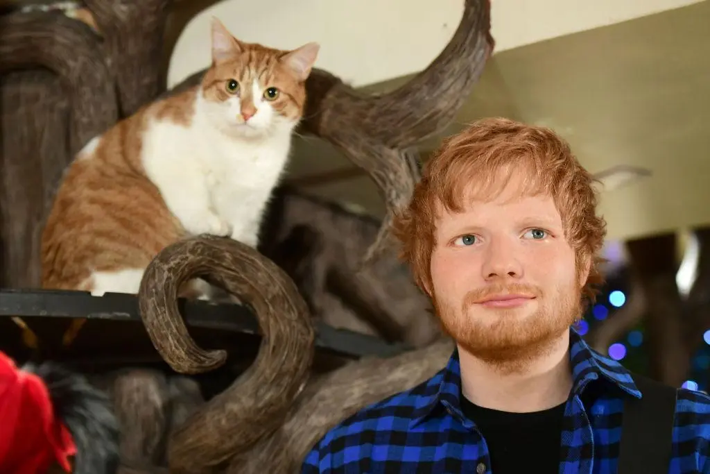 Ed Sheeran