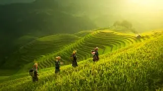 Laos — miejsce, w którym znajdują się tysiące ton niewypałów. Co kryje się za lokalizacją znaną z "Azji Express"?