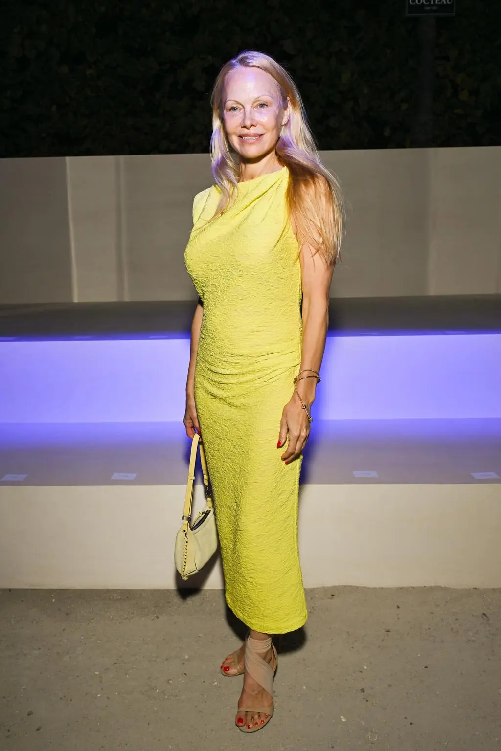 Pamela Anderson