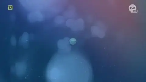 Nowy wiosenny spot TVN