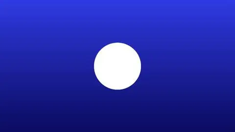 20112024_FINALTOPMODEL_MARKOWSKA_WOJEWODZKI