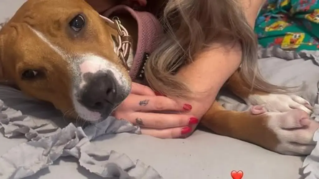 Kate Cassidy uczciła pamięć po ukochanym. Zrobiła na cześć Liama Payne'a wyjątkowy tatuaż