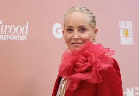 Sharon Stone po udarze nie mogła znaleźć pracy. "Zastawiłam dom, straciłam wszystko, co miałam"