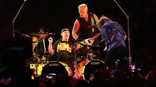 Pies uciekł z domu i udał się na koncert Metalliki. Natychmiast stał się gwiazdą internetu