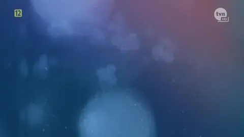 "Mój agent" już niedługo zadebiutuje na platformie Player