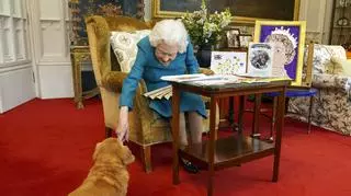 Wiemy, co stało się z psami królowej Elżbiety II. Sarah Ferguson zdradziła szczegóły