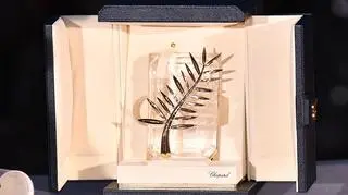 Festiwal w Cannes 2022. Nominacje. Polski film kandydatem do Złotej Palmy 