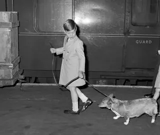 Książę Andrzej z psem corgi