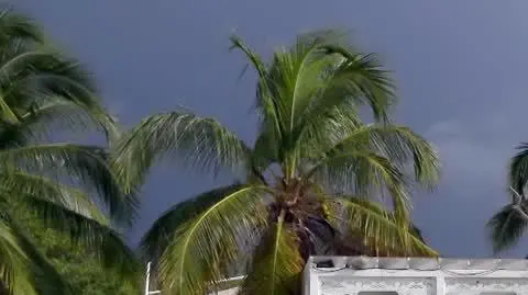 TVN7_PRORES_TRUE_LOVE_S01_ODC_06_MARTYNA