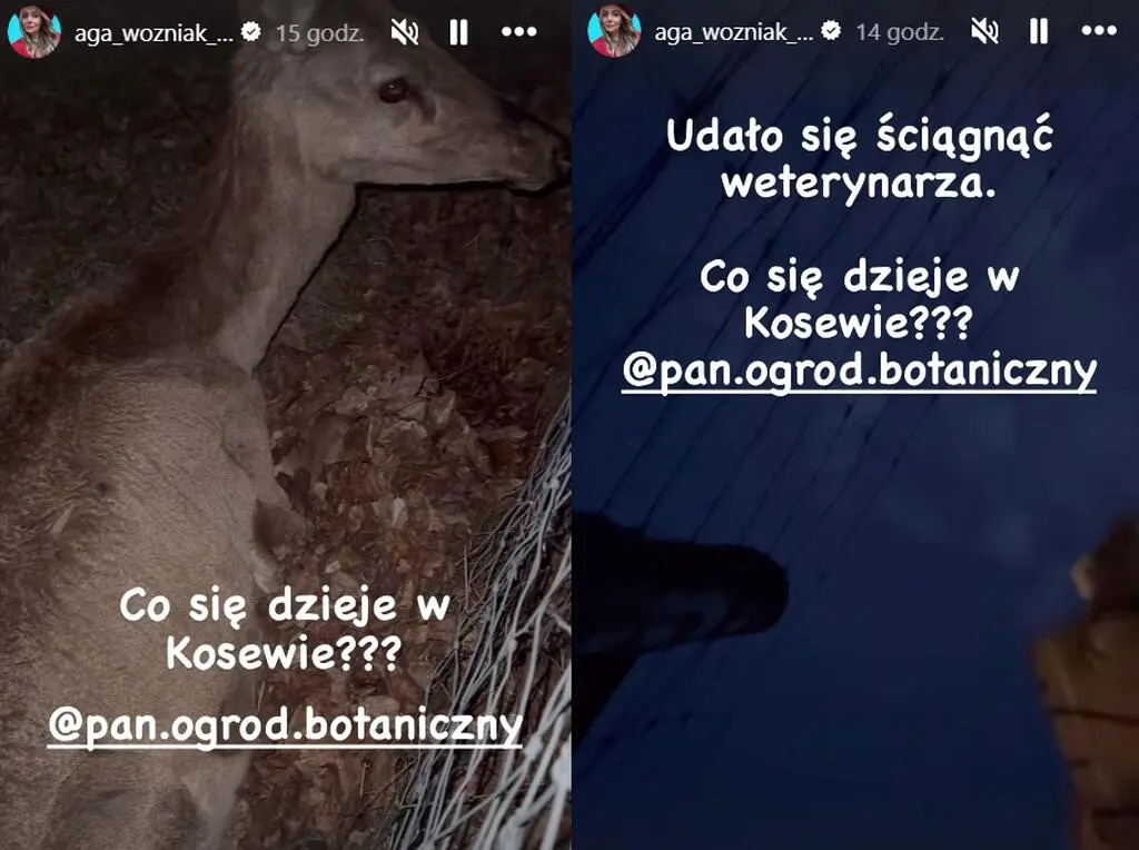 Agnieszka Woźniak-Starak