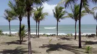 Kulisy finałowej sesji "Top Model" w Brazylii cz. 1