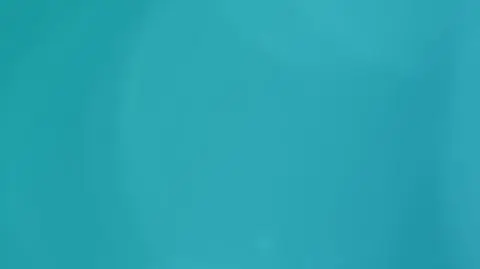 5062023_WDUSZYMIGRA_MAGDAFEMME (1)