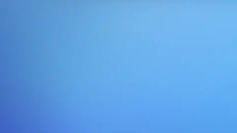 Gwiazdy TVN w nowej oprawie