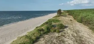 Krynica Morska ma wiele twarzy. Od dzikiej przyrody po widok z latarni