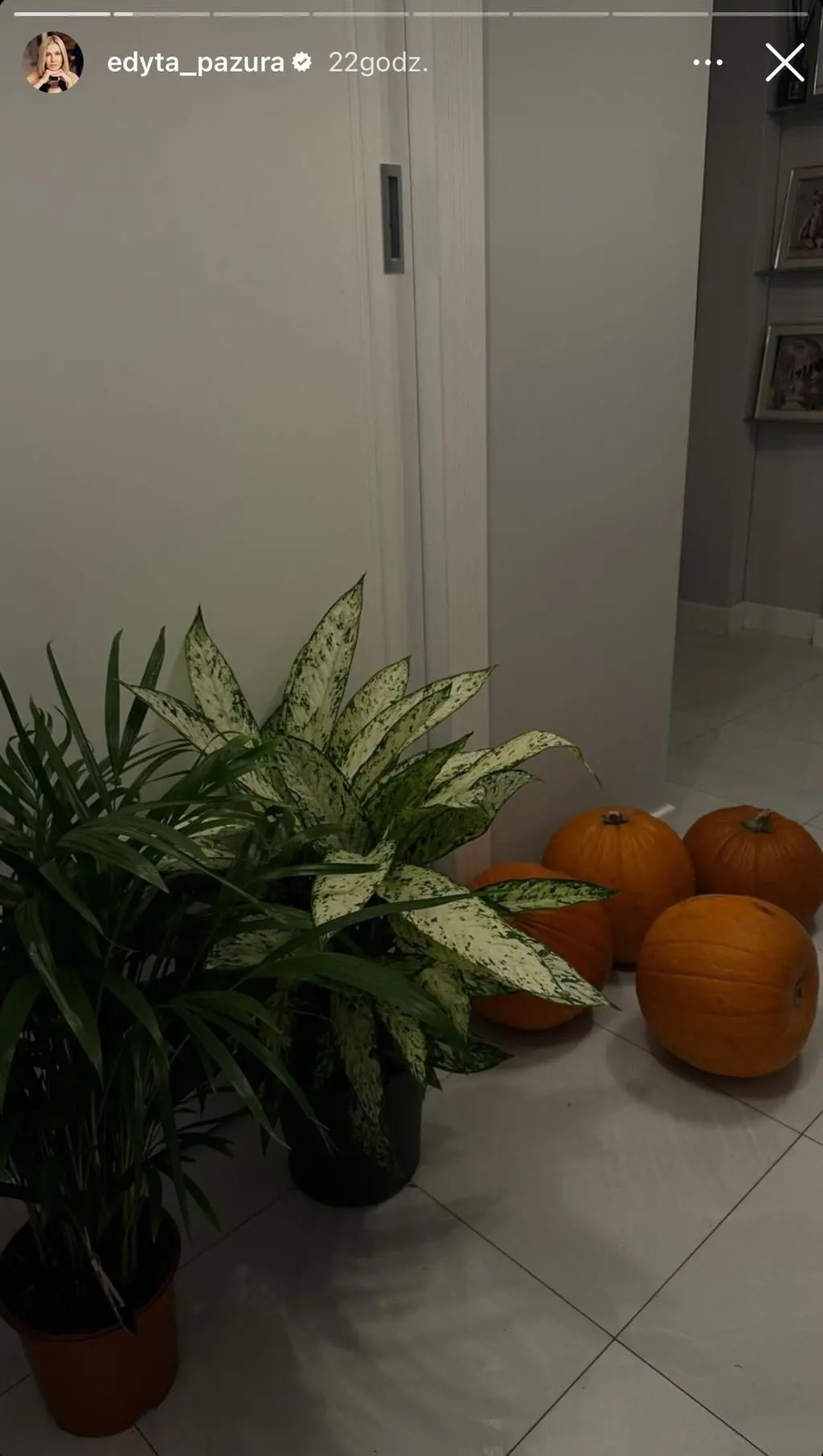 Edyta Pazura dekoruje dom na Halloween