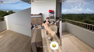 Tak Agata i Piotr Rubikowie mieszkają w Miami