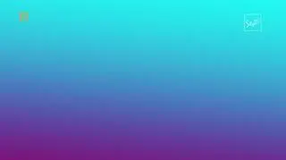 "Konfrontacje Agaty"