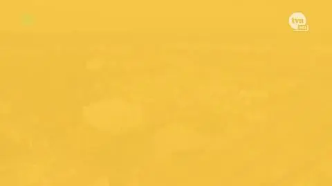 "Kuchenne rewolucje" w Szczecinie