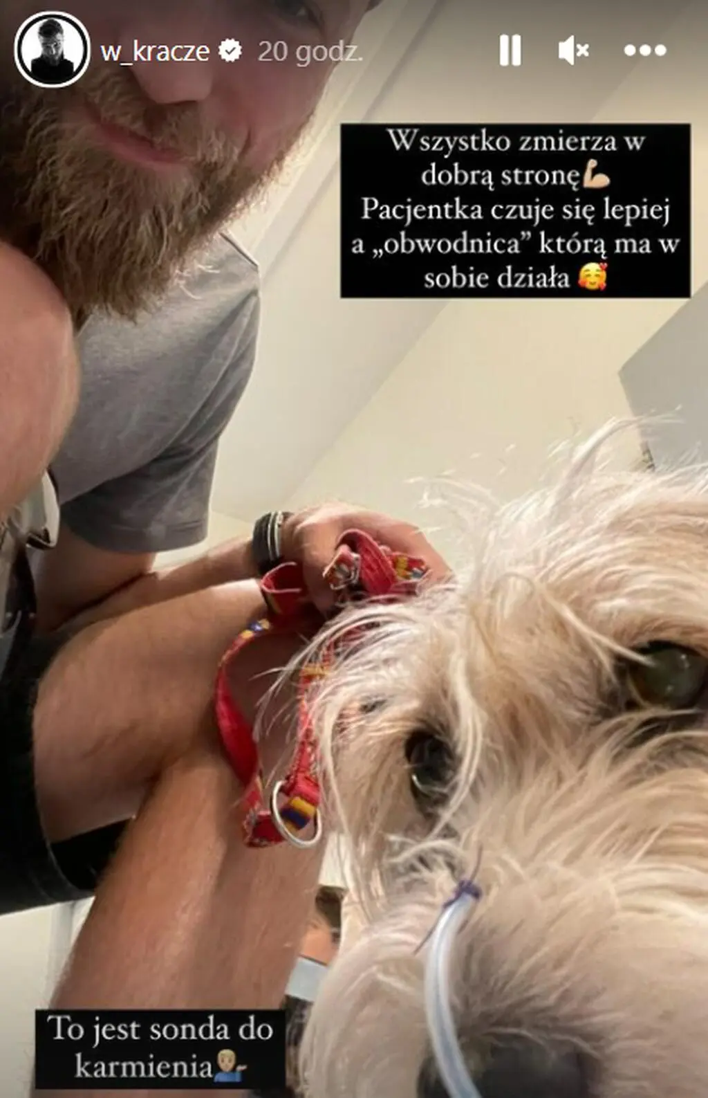 Andrzej Wrona poinformował o stanie zdrowia Wiesi