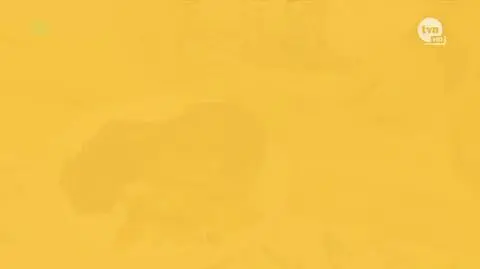 "Kuchenne rewolucje" Sezon 25