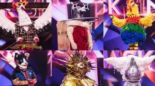 Widzowie zdemaskowali uczestników "Mask Singer". Kim są Bocian, Deszcz, Kogut, Kot, Prysznic i Słońce? 