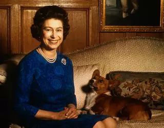 Królowa Elżbieta psami corgi opiekowała się aż do śmierci