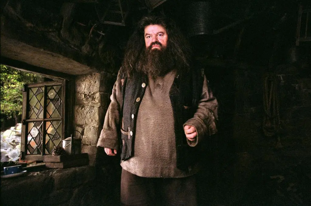 Robbie Coltrane 