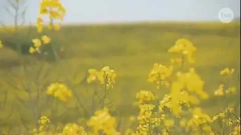 Bracia Cugowscy grają z ojcem