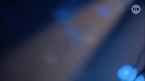 Anita Lipnicka świętuje 25-lecie na scenie