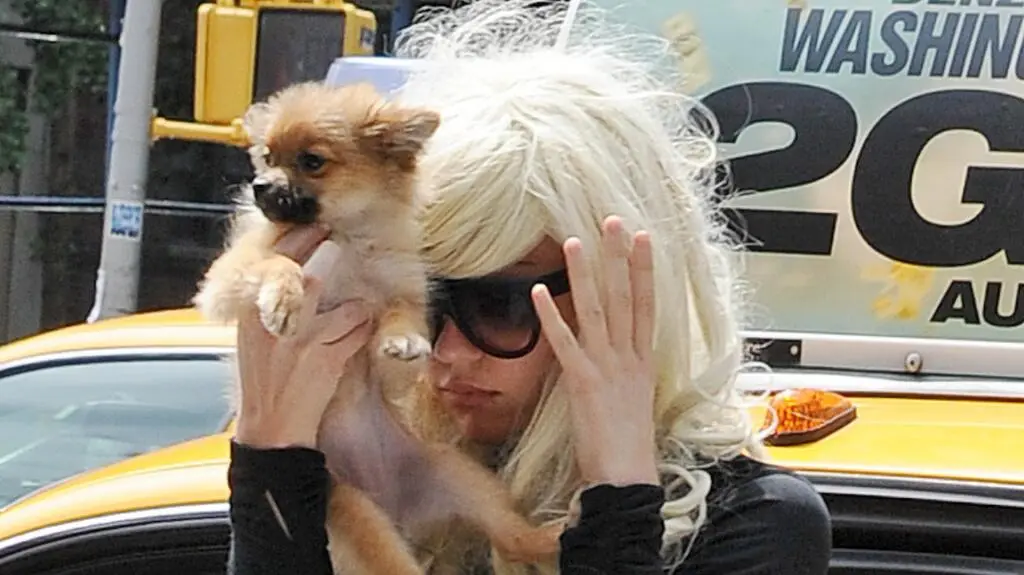 Amanda Bynes