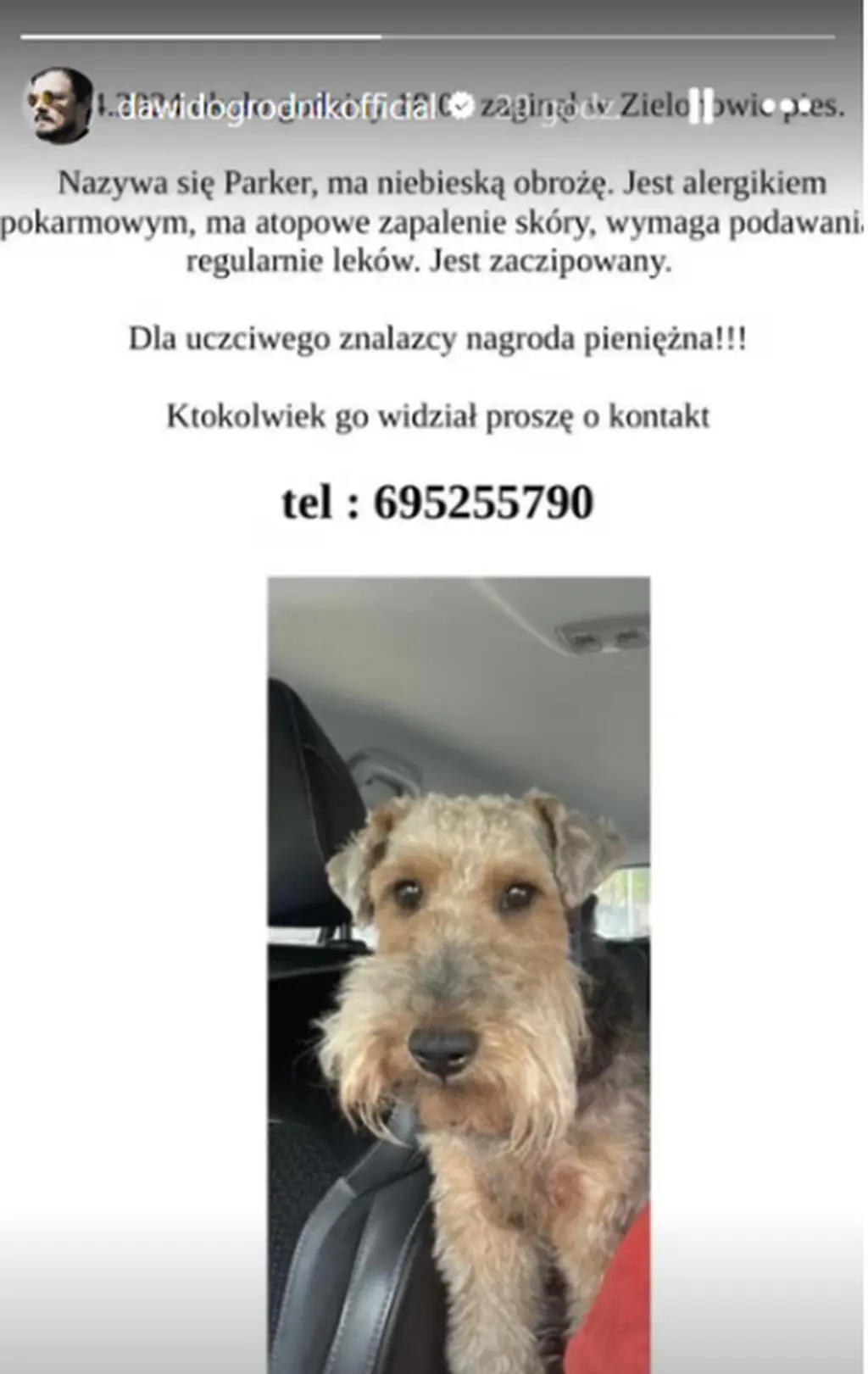 Pies Dawida Ogrodnika
