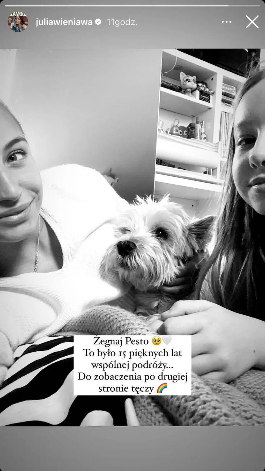 Julia Wieniawa pożegnała pupila