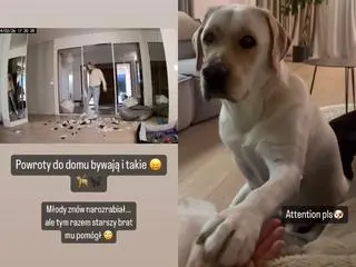 Karolina Pisarek pokazała zniszczenia dokonane przez pupili 