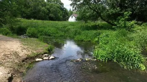 29062023_BLIZEJGWIAZD_MANDARYNA (1)