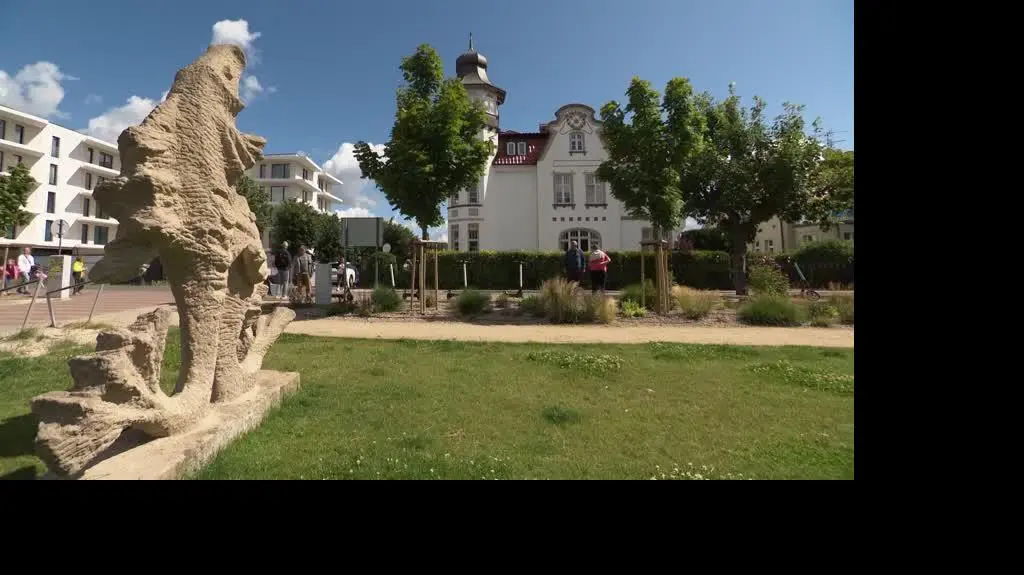 czt_24