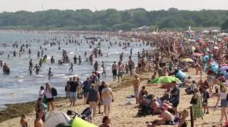 Electrolux - akcja "Czysty Bałtyk"