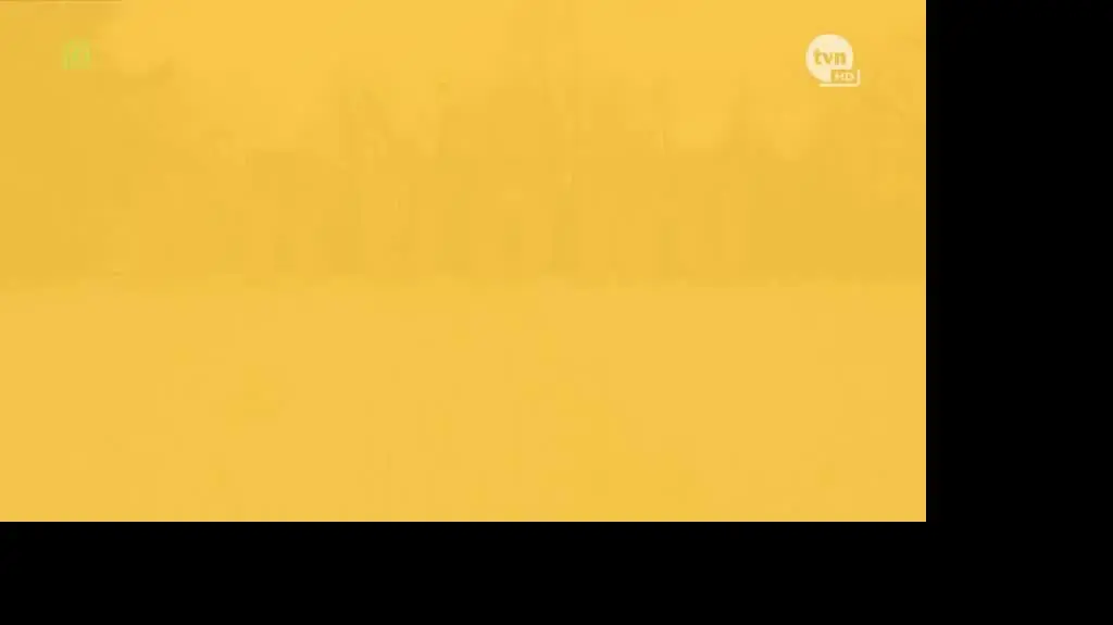 "Totalne remonty Szelągowskiej"