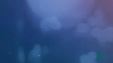 czt_nieobecniwasilewskagruszkalukaszewicz