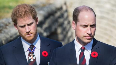 Książę Harry i książę William
