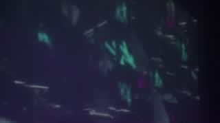 Światowej sławy polscy DJ-e. Kim jest duet Catz 'n Dogz?