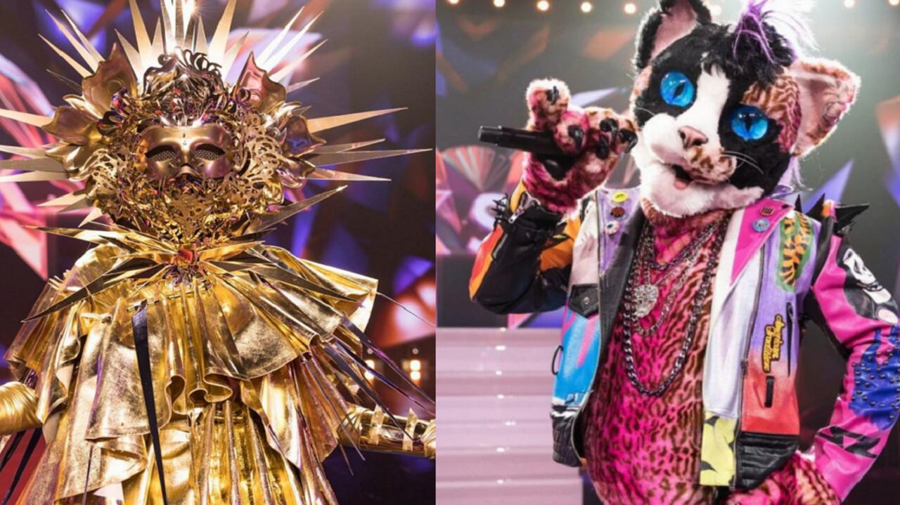  Mask Singer Kto Kryje Si Pod Przebraniami Deszczu Bociana Koguta 